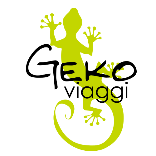 Geko Viaggi