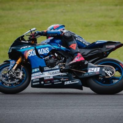 Gdn26245 Dimensioni Medie