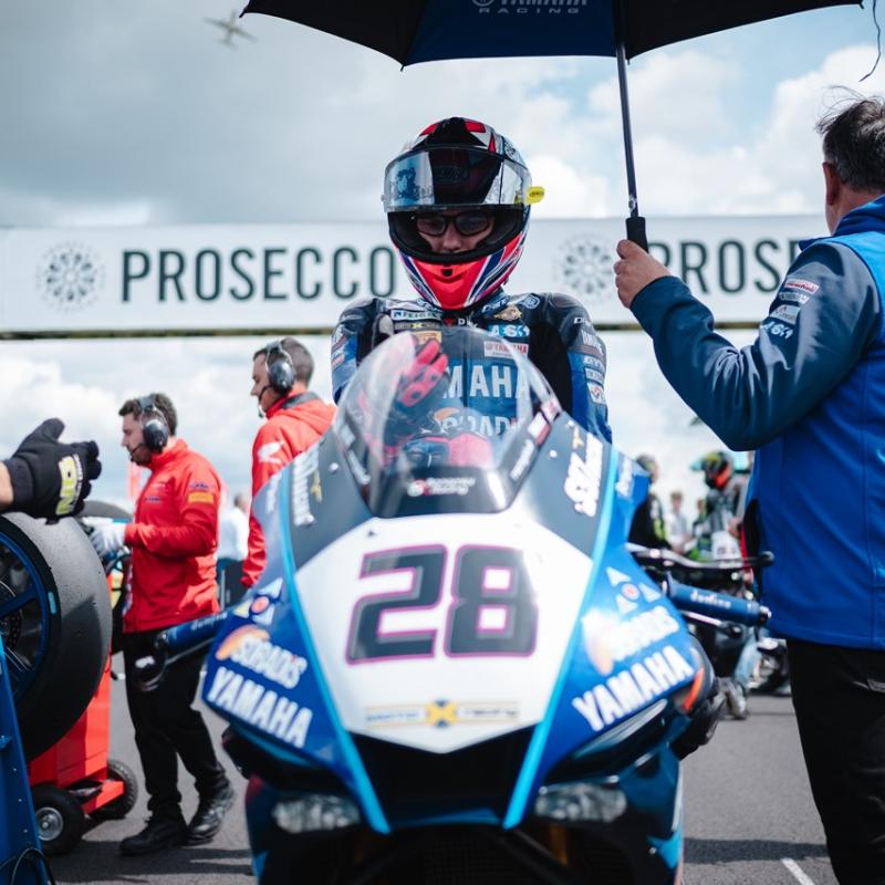 Gdn27661 Dimensioni Grandi