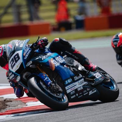 Gdn27932 Dimensioni Grandi