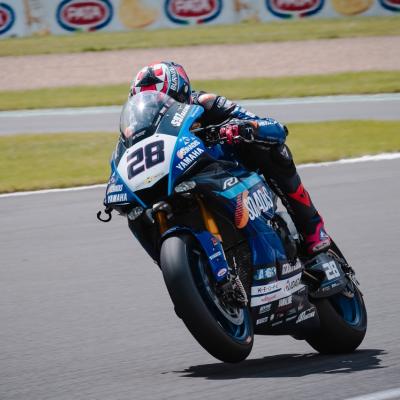 Gdn28041 Dimensioni Grandi