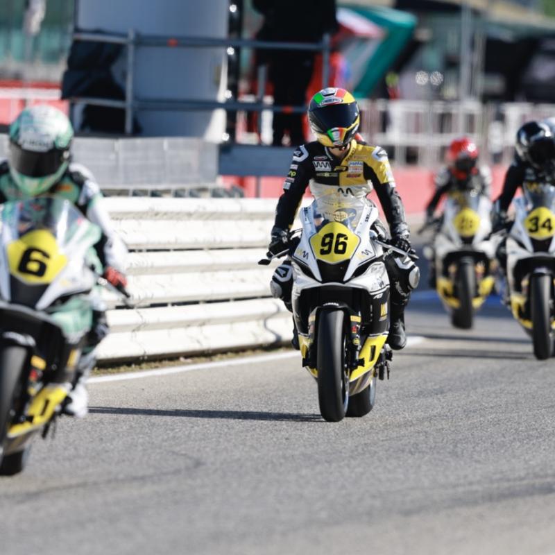  3m 7749action Dimensioni Grandi